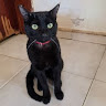 Missichi