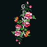 Ginya Les
