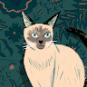 Cathystar