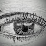 seni fiya