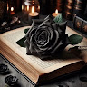 Black Rose