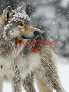 The Call of The Wolf