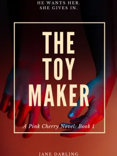 The Toy Maker
