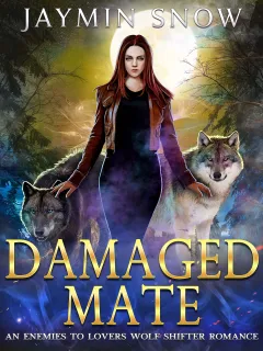 Damaged Mate
