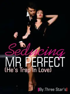 Seducing Mr. Perfect