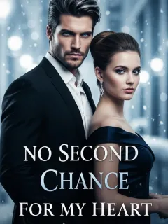 No Second Chance For My Heart