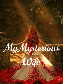My Mysterious Wife
