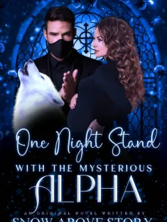 One Night Stand With The Mysterious Alpha  #book 1
