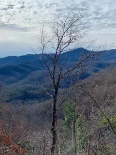 Life on the Back Roads