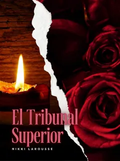 El Tribunal Superior