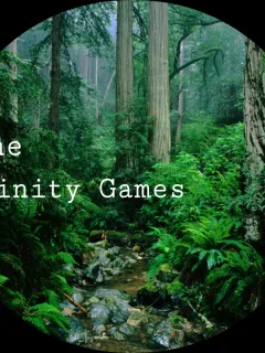 The Infinity Games