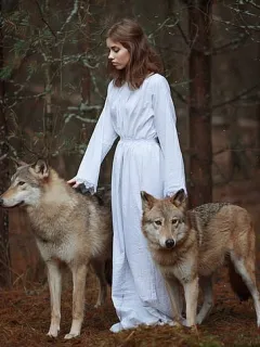 The Wolf Prophies
