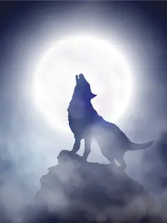 A Werewolf Fantasy
