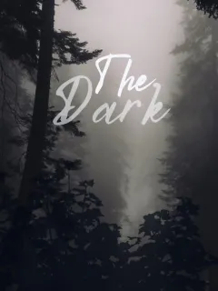 The dark