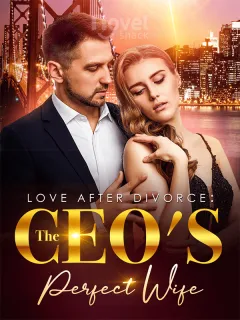 Love After Divorce:The CEO's Perfect Wife