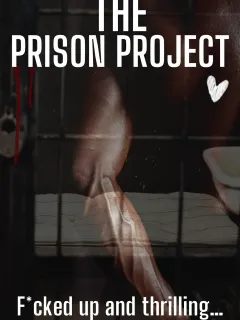 The Prison Project