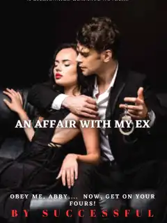 An Affair With My Ex.