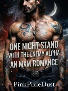 One Night Stand With The Enemy Alpha: An MxM Romance