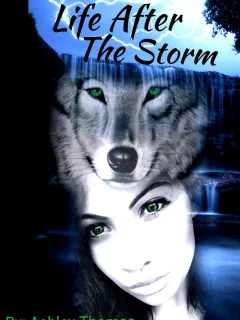 Life After The Storm