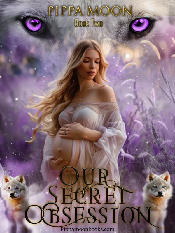 Our Secret Obsession (Book 2)