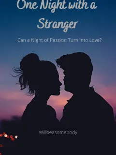 One Night with a Stranger