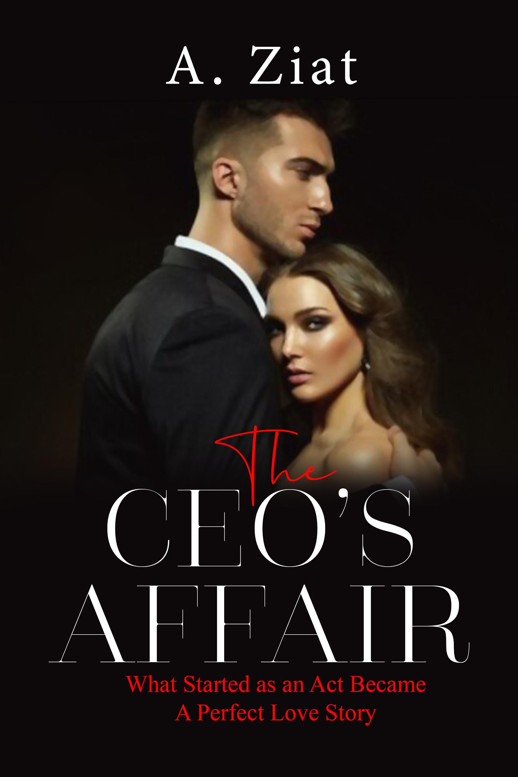 THE CEO'S AFFAIR