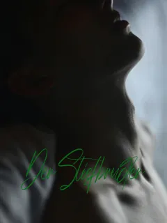 Der Stiefbruder