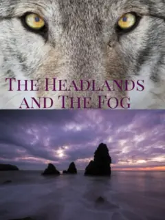 The Headlands and The Fog